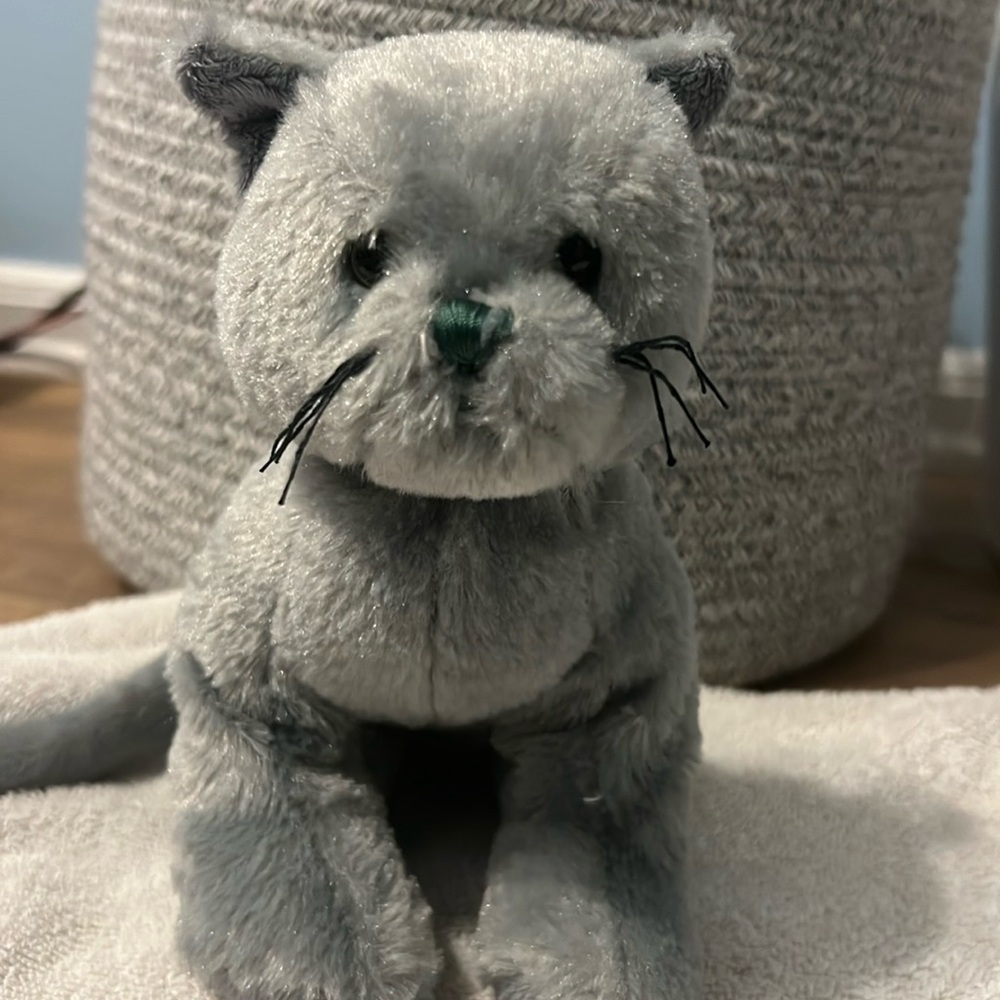 Charcoal cat webkinz